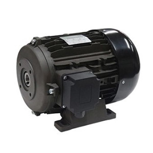고압 모터 TPEM-7.5HP