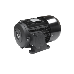 모터 TPEM-10HP/S